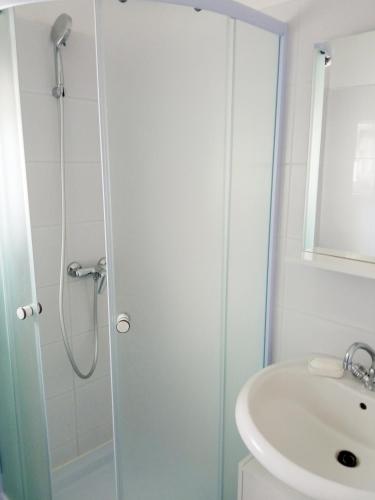 Apartment Rosa