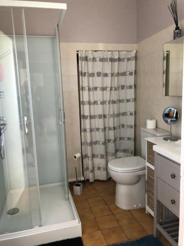 a bathroom with a shower and a toilet and a sink at Le Logis du GAST Chambre Taupe in Le Gast