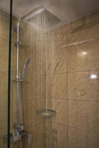 a shower with a shower head in a bathroom at Afrika Hotel Frýdek-Místek in Frýdek-Místek