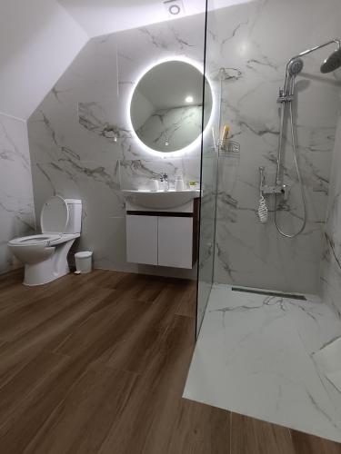 a bathroom with a shower and a sink and a toilet at Prenociste T-07 in Smederevo