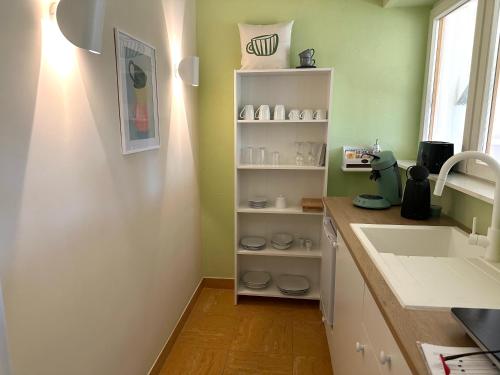 a kitchen with green walls and a sink and a counter at Fuchsbau-eine Auszeit für die Seele in Kritzmow