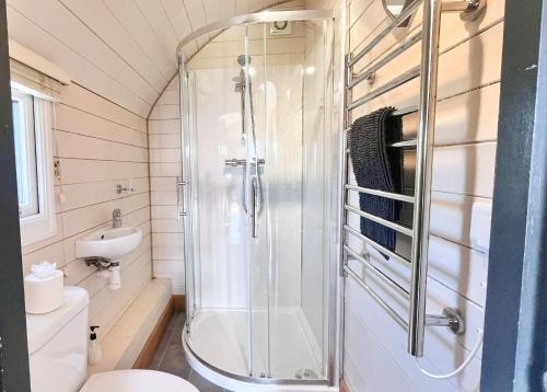 a bathroom with a shower and a toilet at Mountain View Pod in Rhayader
