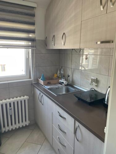 a kitchen with a sink and a counter top at Teodora in Banja Koviljača