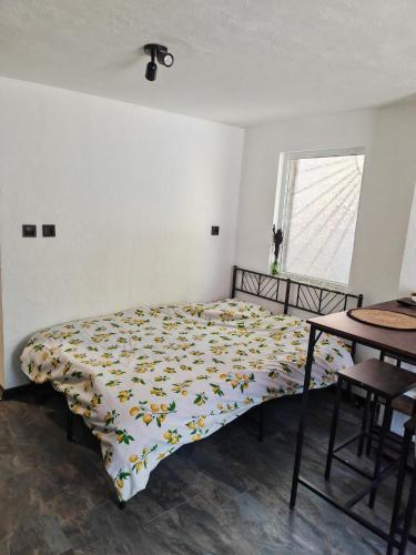 a bedroom with a bed and a table and a window at Studio Dimon in Pleven