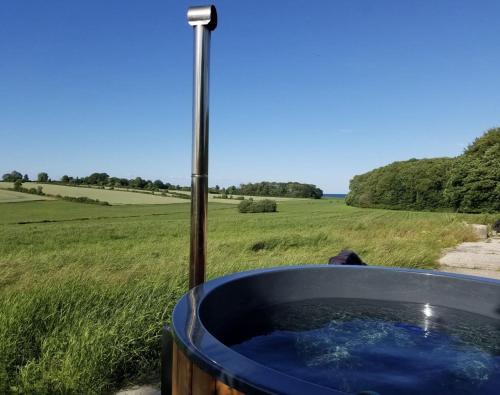a bath tub filled with water in a field at Ferienhaus Ostsee in Steinberg