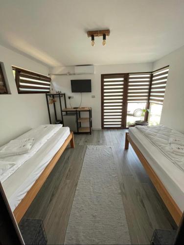 a bedroom with two beds and a television in it at Anchor Boutique- Clisura Dunării in Liborajdea