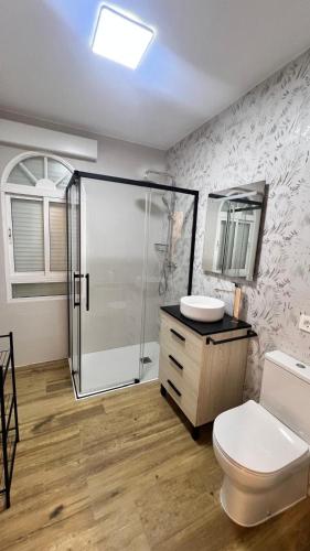 a bathroom with a shower and a toilet and a sink at Apartamento La Celestina in La Puebla de Montalbán