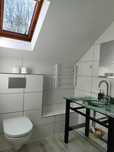 a bathroom with a toilet and a glass table at U Vaclava in Hřensko