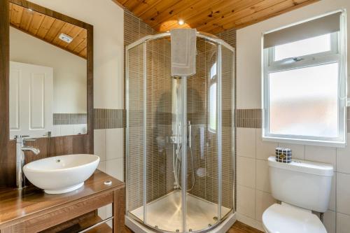 a bathroom with a shower and a toilet and a sink at Field View 2 bed - Hazel in Eye