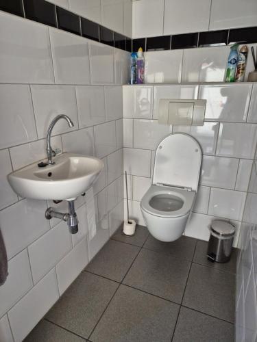 a white bathroom with a toilet and a sink at Gastenverblijf de Bloesem privé appartement in Lunteren