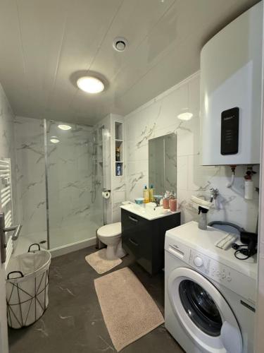 a bathroom with a washing machine and a shower at Appartement St denis in Saint-Denis