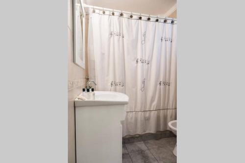 ブエノスアイレスにあるDepartamento Maria Paulaの洗面台とシャワーカーテン付きのバスルーム