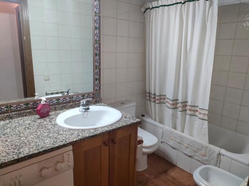 a bathroom with a sink and a toilet and a shower at Barruera duplex 2 bedrooms heating in Barruera