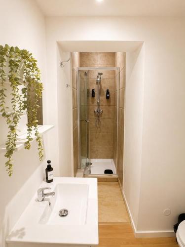 a bathroom with a shower and a sink at Le Clos Lassagne -Terrasse privative - Climatisation - Lyon Sud - Brignais in Brignais