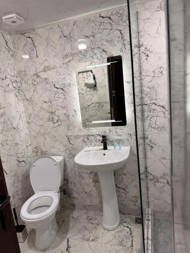 a bathroom with a toilet and a sink and a mirror at Vardzia Guesthouse Tmogvi in T'mogvi