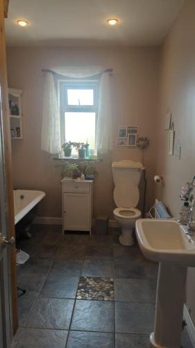 a bathroom with a toilet and a sink and a window at Ox Mountain View 3 Bed apartment in Foxford