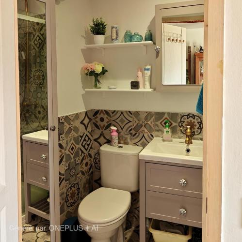 a bathroom with a toilet and a sink and a mirror at entre vignes et canal in Azille