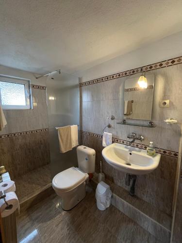 a bathroom with a toilet and a sink at Hotel Four Seasons in Samokov