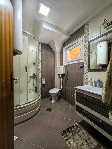 a bathroom with a toilet and a shower and a sink at Etno Kuća Jaćimović 1 in Pranjani
