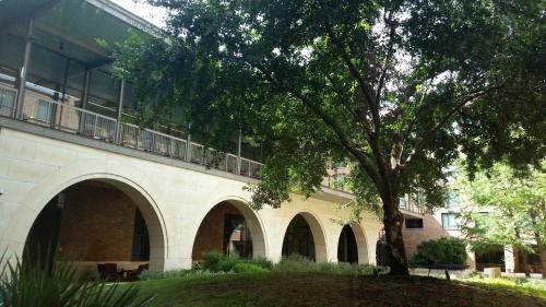 a building with a tree in front of it at AT&T Hotel & Conference Center in Austin