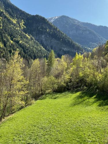 a green field with trees and mountains in the background at Castori due in Prazzo