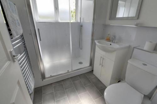 a bathroom with a shower and a toilet and a sink at Widemouth Waves Holiday Chalet in Poundstock