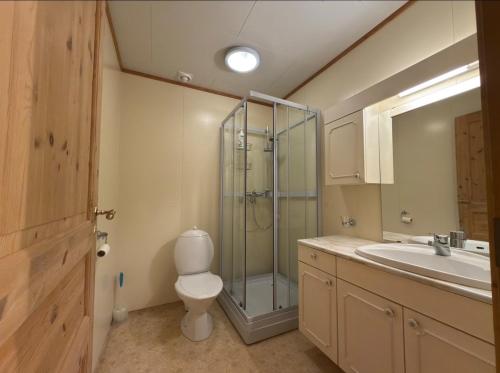 a bathroom with a shower and a toilet and a sink at Smørblomstvegen Apartment in Tromsø