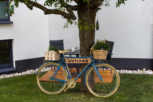 a blue bike parked next to a tree at Ferienwohnung Gaß in Kastellaun