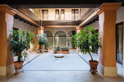 Apartamentos La Vistosona photo 145