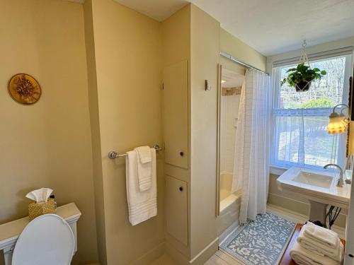 a bathroom with a shower and a toilet and a sink at Avery House Bed & Breakfast in Galena