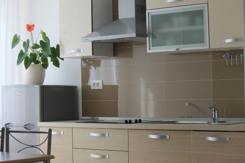 a kitchen with a sink and a stove top oven at V Apartment in Rabac