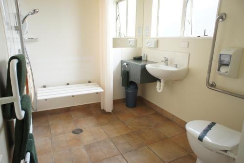 a bathroom with a sink and a toilet at Bks Egmont Motor Lodge in New Plymouth