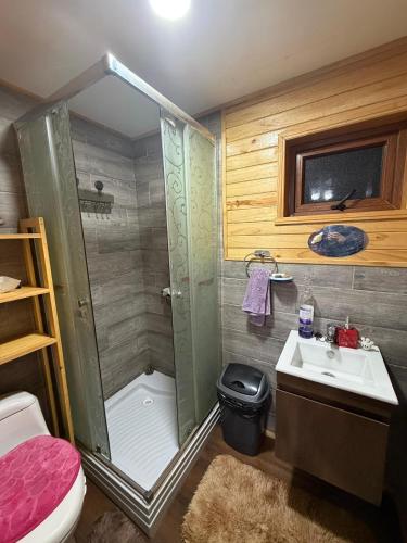 a bathroom with a shower and a sink at Cabaña de campo in Castro