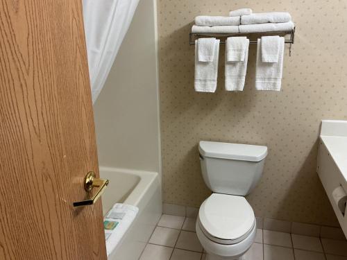 a bathroom with a toilet and a sink and towels at Pellston Lodge in Pellston