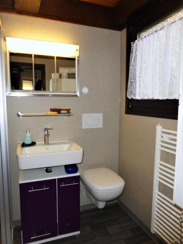 a small bathroom with a sink and a toilet at Ferienhaus Im Abendrot in Waldbrunn