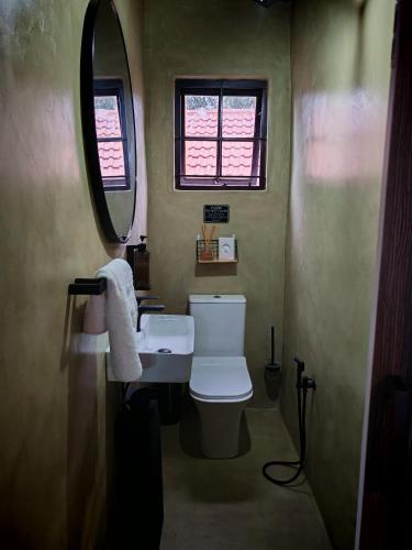 a bathroom with a toilet and a sink and a mirror at Grey Falcon Ridge in Albinia