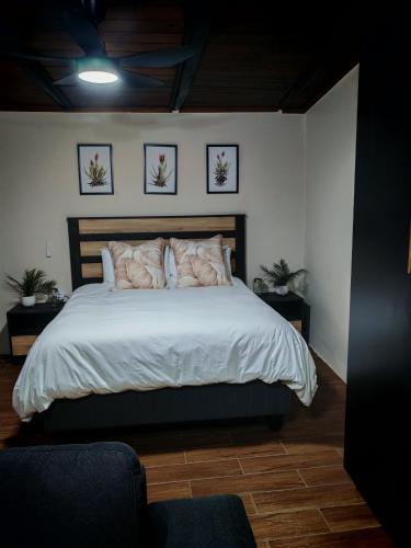 a bedroom with a large bed with white sheets and pillows at Grey Falcon Ridge in Albinia