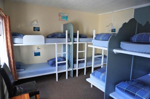 a room with several bunk beds with blue pillows at Loch Ness Lochside Hostel - Over 16s Only in Invermoriston