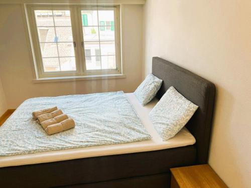 2 room Flat in Zurich Old Town Center RENN