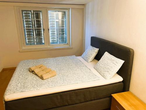 2 room Flat in Zurich Old Town Center RENN