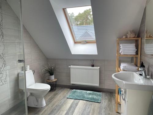 a bathroom with a toilet and a sink and a window at Apartamenty Buczyna w Sierakowie in Sieraków
