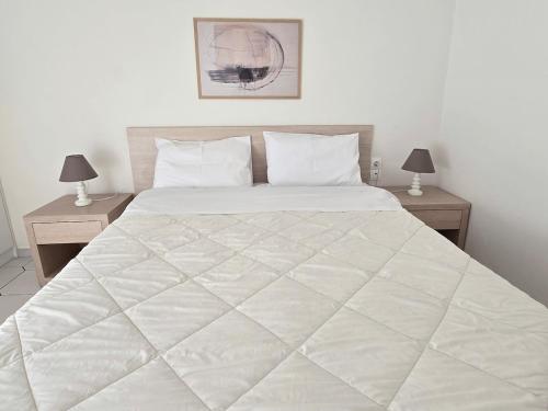Ioannina Contemporary Apartment