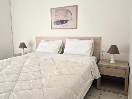 Ioannina Contemporary Apartment