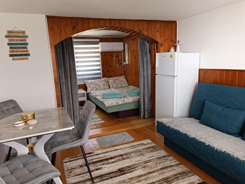 a living room with a couch and a refrigerator at Studio 28 in Bajina Bašta