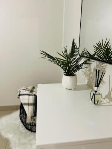a white table with a potted plant on it at Casa Bonheur in Windhoek