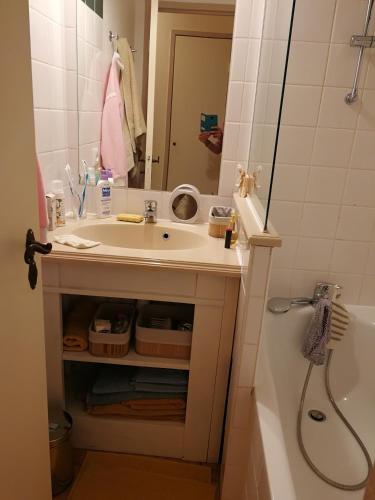 a bathroom with a sink and a shower and a tub at Studio in Argentat