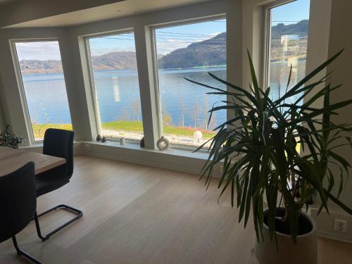 a room with large windows and a potted plant at Large house with panoramic sea view in Bergen
