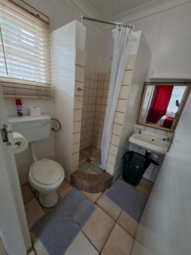 a bathroom with a toilet and a sink and a mirror at Lullaby Leaf in Lichtenburg