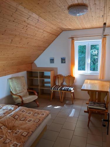 a bedroom with a bed and a desk in a room at Na Černém potoce in Rokytnice nad Jizerou