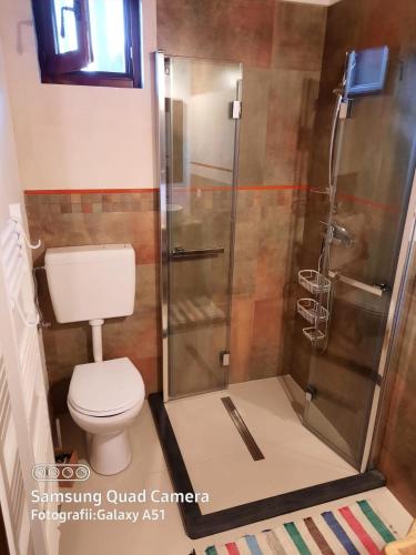 a bathroom with a toilet and a shower at Maramureș Traditional House in Vadu Izei